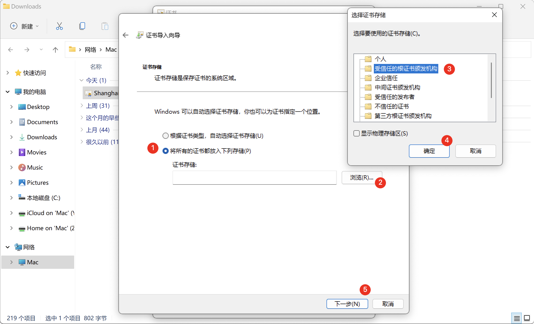 image-20240125134738506